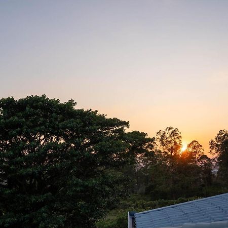 Bed and Breakfast Casa Familiar la Tortuga Heredia Exterior foto